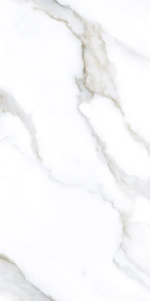 ROCCO WHITE TING view 2